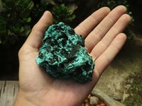 Natural Chatoyant Silky Malachite Specimens  x 12 From Kasompe, Congo - TopRock