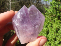 Natural Single Jacaranda Amethyst Crystals  x 12 From Solwezi, Zambia - Toprock Gemstones and Minerals 