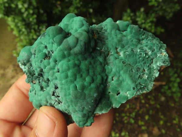 Natural Lovely Mixed Selection Of Malachite Specimens  x 7 From Congo - TopRock