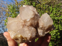 Natural Cascading Smokey Quartz Clusters x 2 From Luena, Congo