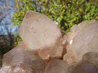 Natural Cascading Smokey Quartz Clusters x 2 From Luena, Congo