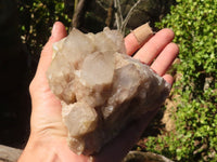 Natural Cascading Smokey Quartz Clusters x 2 From Luena, Congo