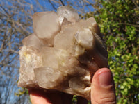 Natural Cascading Smokey Quartz Clusters x 2 From Luena, Congo