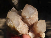 Natural Cascading Smokey Quartz Clusters x 2 From Luena, Congo