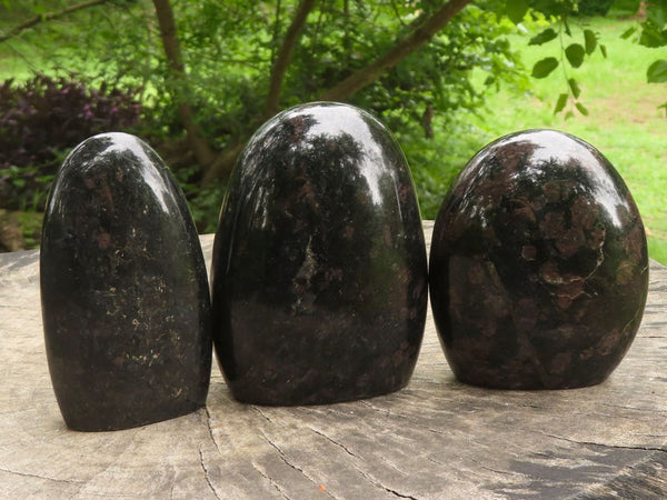 Polished Sparkling Blue Iolite / Water Sapphire Standing Free Forms  x 3 From Madagascar - TopRock