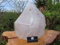 Polished Giant Tourmaline Quartz Crystal With Nice Tourmaline Crystal Growing Through Bottom x 1 From Madagascar - TopRock