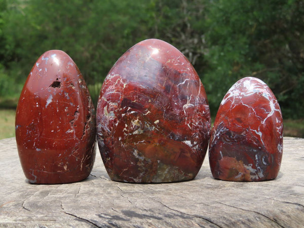 25g Ocean Jasper Indian Agate Tumbled Chip Stones Crushed - Temu Republic  of Korea