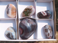 Polished River Agate Palm Stones  x 6 From Zimbabwe - Toprock Gemstones and Minerals 