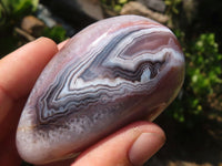 Polished River Agate Palm Stones  x 6 From Zimbabwe - Toprock Gemstones and Minerals 