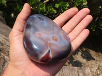 Polished River Agate Palm Stones  x 6 From Zimbabwe - Toprock Gemstones and Minerals 