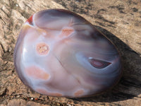 Polished River Agate Palm Stones  x 6 From Zimbabwe - Toprock Gemstones and Minerals 