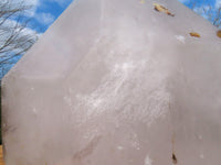 Polished Giant Tourmaline Quartz Crystal With Nice Tourmaline Crystal Growing Through Bottom x 1 From Madagascar - TopRock