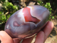 Polished River Agate Palm Stones  x 6 From Zimbabwe - Toprock Gemstones and Minerals 