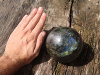 Polished Large Labradorite Sphere  x 1 From Tulear, Madagascar - TopRock