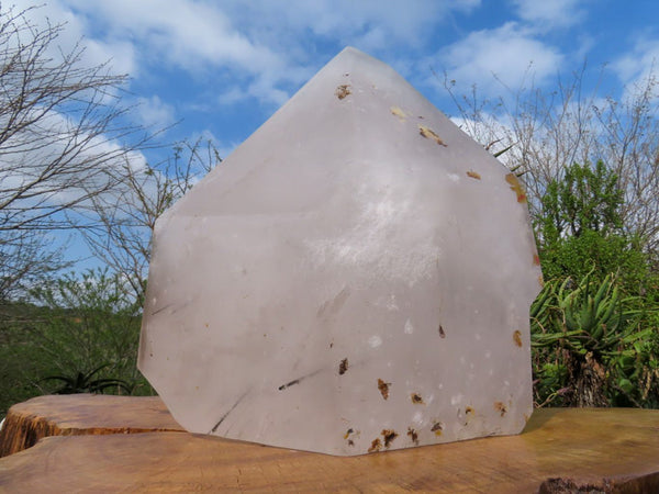 Polished Giant Tourmaline Quartz Crystal With Nice Tourmaline Crystal Growing Through Bottom x 1 From Madagascar - TopRock