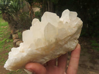 Natural White Quartz Clusters  x 3 From Madagascar - TopRock