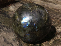 Polished Large Labradorite Sphere  x 1 From Tulear, Madagascar - TopRock