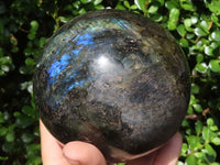 Polished Large Labradorite Sphere  x 1 From Tulear, Madagascar - TopRock