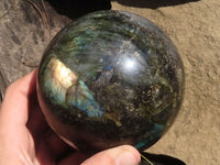 Polished Large Labradorite Sphere  x 1 From Tulear, Madagascar - TopRock