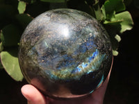 Polished Large Labradorite Sphere  x 1 From Tulear, Madagascar - TopRock