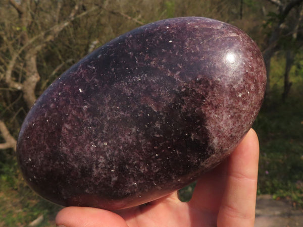 Polished Dark Purple Lepidolite Free Forms  x 4 From Zimbabwe - TopRock