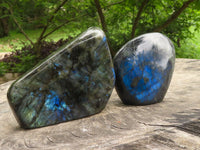 Polished Flashy Blue Labradorite Standing Free Forms  x 2 From Tulear, Madagascar - TopRock