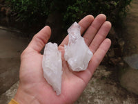 Natural Single Clear Quartz Crystals  x 24 From Zambia - Toprock Gemstones and Minerals 