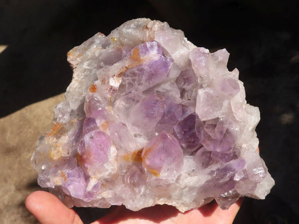 Natural Jacaranda Amethyst Clusters  x 2 From Zambia - Toprock Gemstones and Minerals 