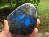 Polished Flashy Blue Labradorite Standing Free Forms  x 2 From Tulear, Madagascar - TopRock