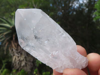 Natural Single Clear Quartz Crystals  x 24 From Zambia - Toprock Gemstones and Minerals 