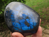 Polished Flashy Blue Labradorite Standing Free Forms  x 2 From Tulear, Madagascar - TopRock