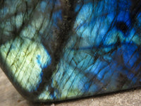 Polished Flashy Blue Labradorite Standing Free Forms  x 2 From Tulear, Madagascar - TopRock