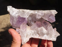 Natural Jacaranda Amethyst Clusters  x 2 From Zambia - Toprock Gemstones and Minerals 