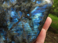 Polished Flashy Blue Labradorite Standing Free Forms  x 2 From Tulear, Madagascar - TopRock