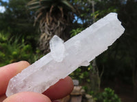 Natural Single Clear Quartz Crystals  x 24 From Zambia - Toprock Gemstones and Minerals 