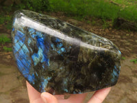 Polished Flashy Blue Labradorite Standing Free Forms  x 2 From Tulear, Madagascar - TopRock