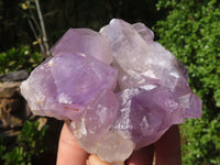 Natural Jacaranda Amethyst Clusters  x 3 From Zambia - Toprock Gemstones and Minerals 