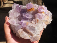 Natural Jacaranda Amethyst Clusters  x 2 From Zambia - Toprock Gemstones and Minerals 