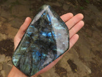 Polished Flashy Blue Labradorite Standing Free Forms  x 2 From Tulear, Madagascar - TopRock