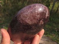 Polished Dark Purple Lepidolite Free Forms  x 4 From Zimbabwe - TopRock