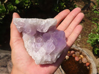 Natural Jacaranda Amethyst Clusters  x 3 From Zambia - Toprock Gemstones and Minerals 