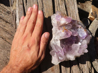 Natural Jacaranda Amethyst Clusters  x 2 From Zambia - Toprock Gemstones and Minerals 