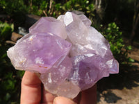 Natural Jacaranda Amethyst Clusters  x 3 From Zambia - Toprock Gemstones and Minerals 