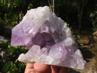 Natural Jacaranda Amethyst Clusters  x 3 From Zambia - Toprock Gemstones and Minerals 