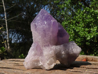 Natural Jacaranda Amethyst Clusters  x 3 From Zambia - Toprock Gemstones and Minerals 