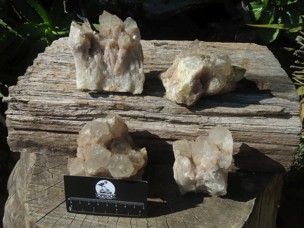 Natural Smokey Phantom Quartz Clusters x 4 From Lwena, Congo - TopRock