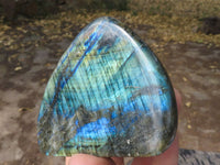 Polished Labradorite Standing Free Forms With Intense Blue & Gold Flash x 6 From Tulear, Madagascar - TopRock