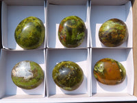 Polished Large Green Opal Palm Stones  x 6 From Madagascar - Toprock Gemstones and Minerals 