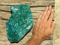 Polished Malacholla (Malachite & Chrysocolla) Display Piece  x 1 From Congo - TopRock