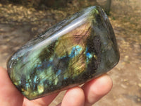 Polished Labradorite Standing Free Forms With Intense Blue & Gold Flash x 6 From Tulear, Madagascar - TopRock